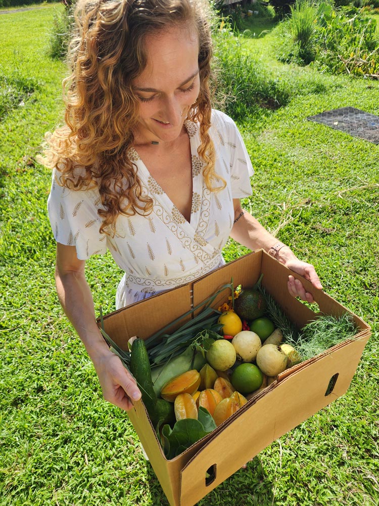Fresh food from the farm