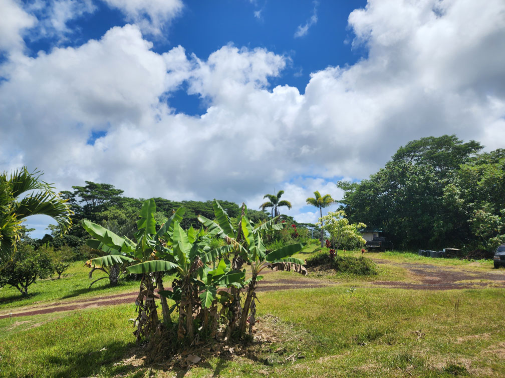 Farm landscape