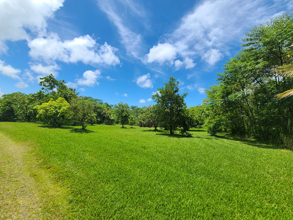 Gardens and open land