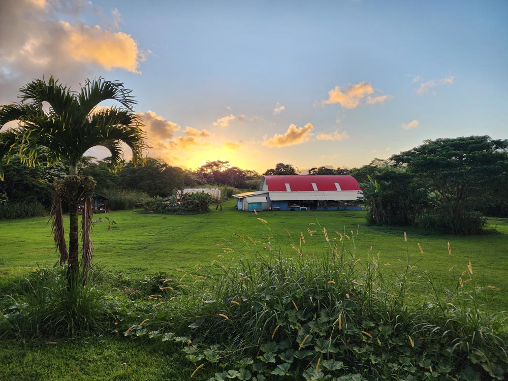 Sunset behind the main building